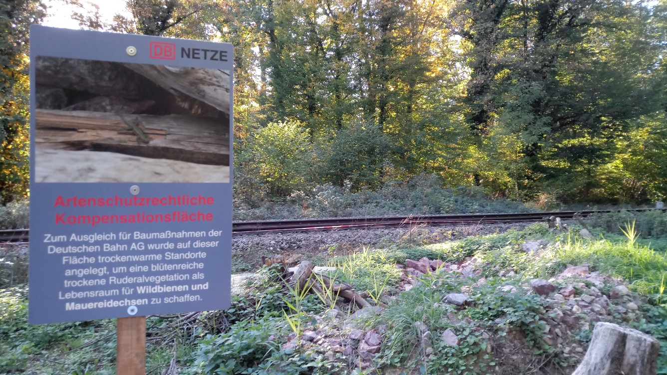 Ein Schild an einem stillgelegten Gleis weist darauf hin, dass dort jetzt Eidechsen leben